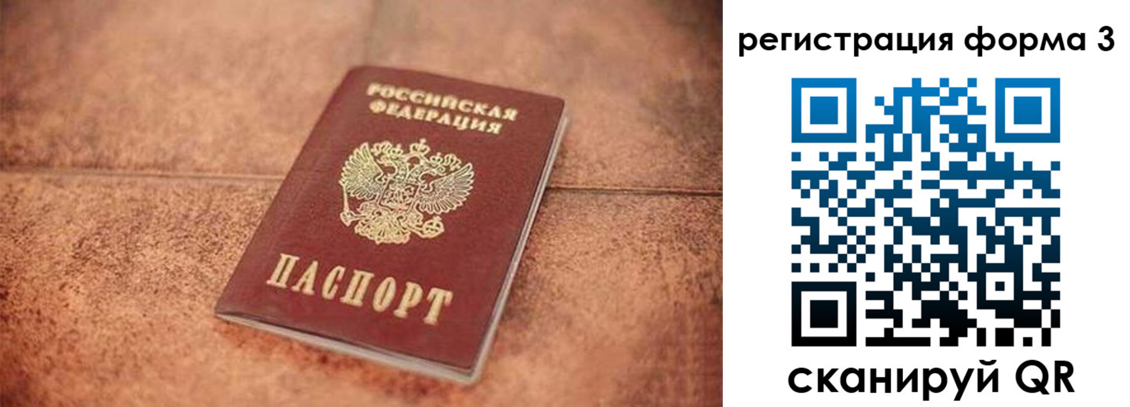 купить прописку в Нелидово